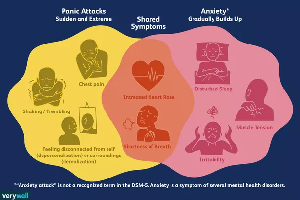 graphic of panic vs anxiety attacks