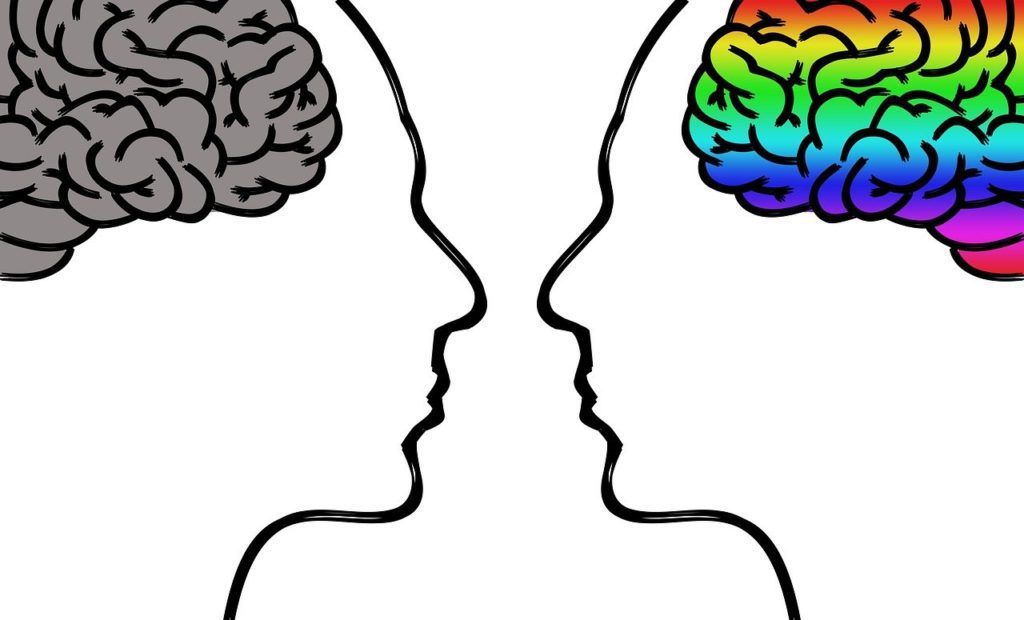picture of two different colored brains